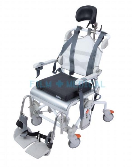Special Needs Wheelchair